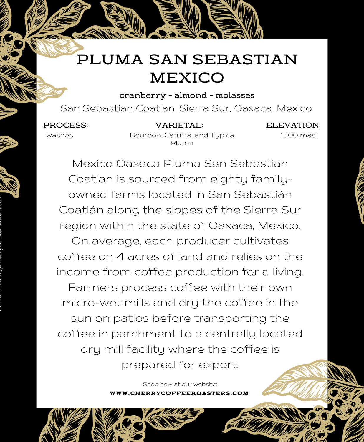 Pluma San Sebastian Mexico