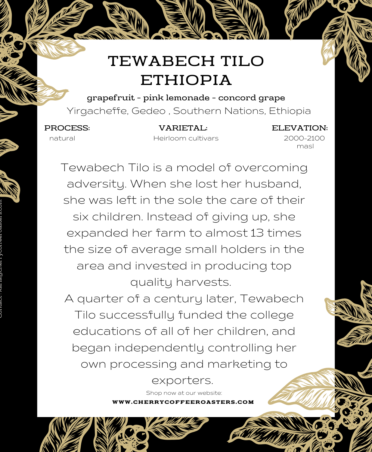 Ethiopia | Tewabech Tilo | Natural