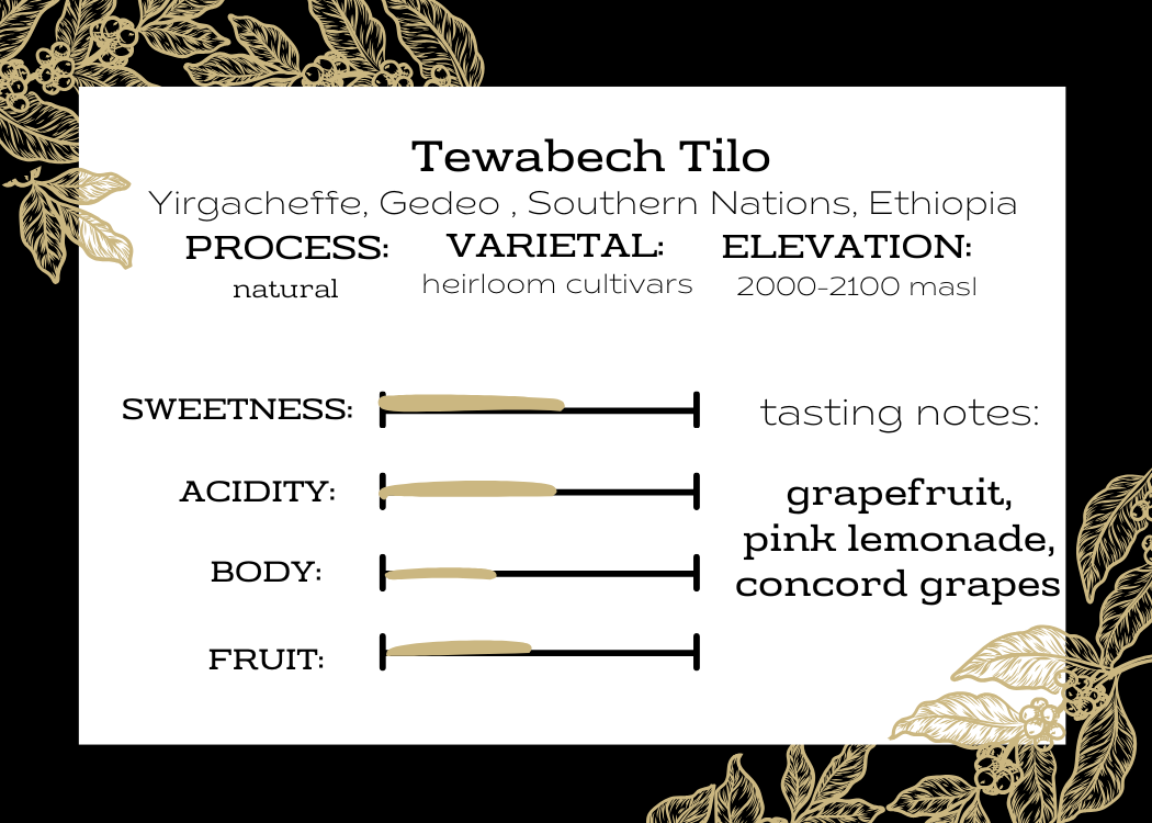 Ethiopia | Tewabech Tilo |
