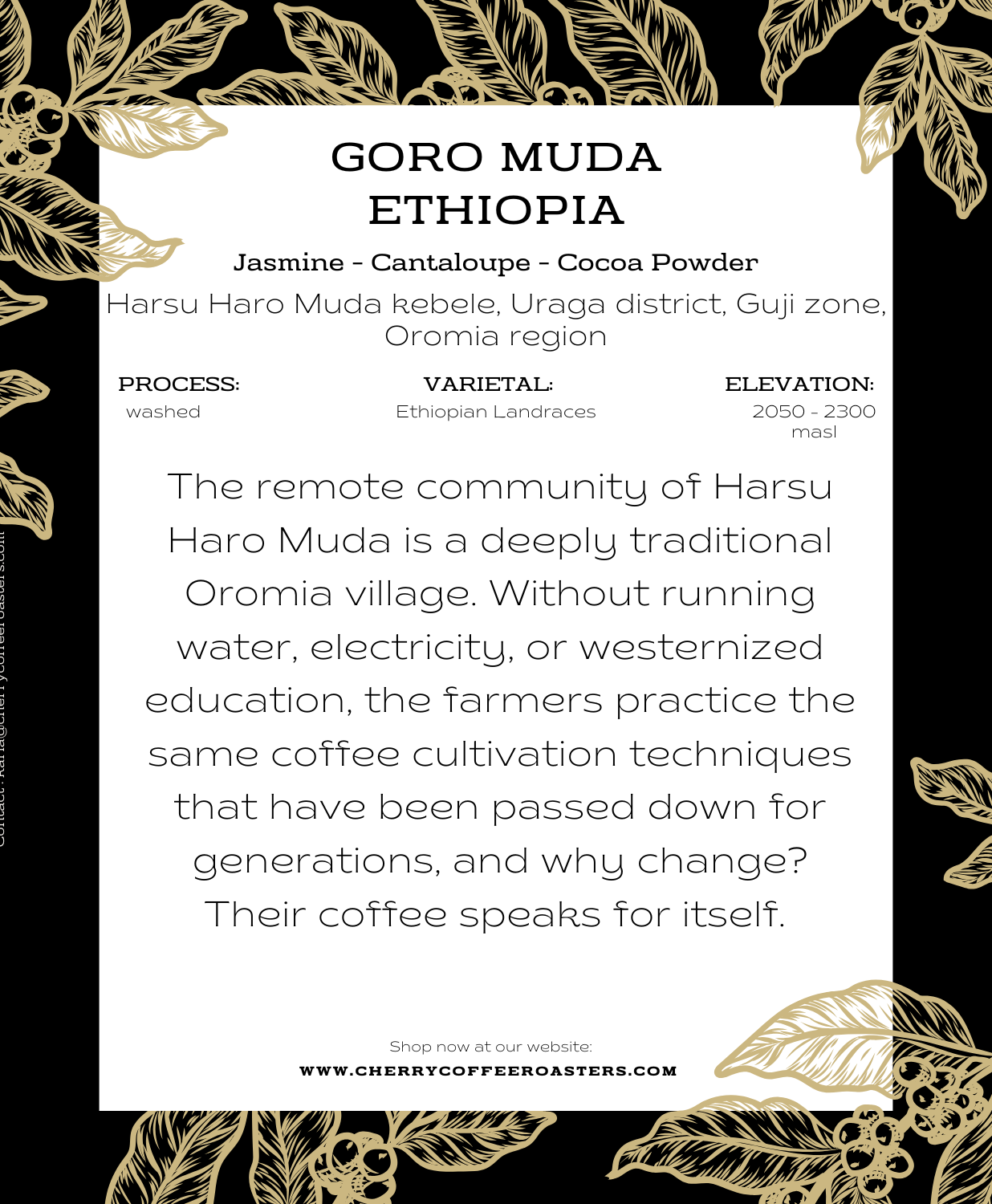 Ethiopia | Goro Muda |