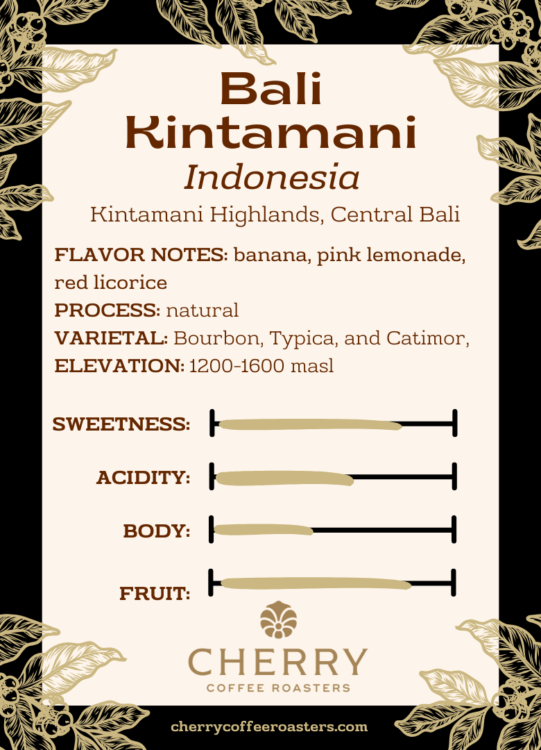 Bali | Kintamani | Natural