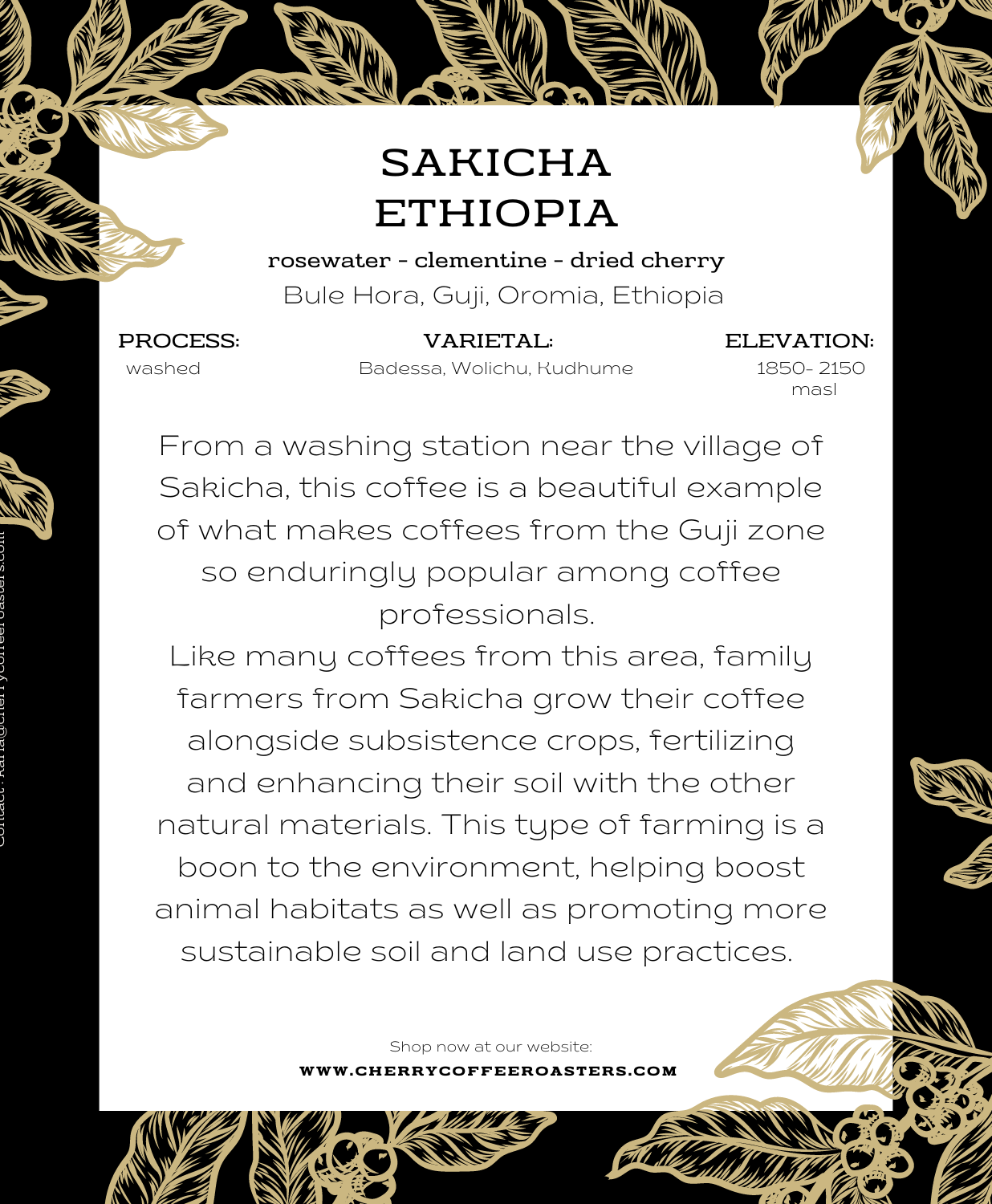 Ethiopia | Sakicha | Guji