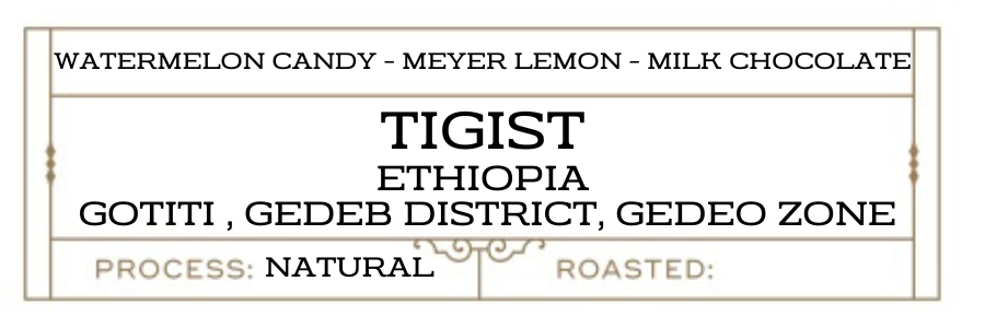 Ethiopia | Tigist | Gedeo Zone