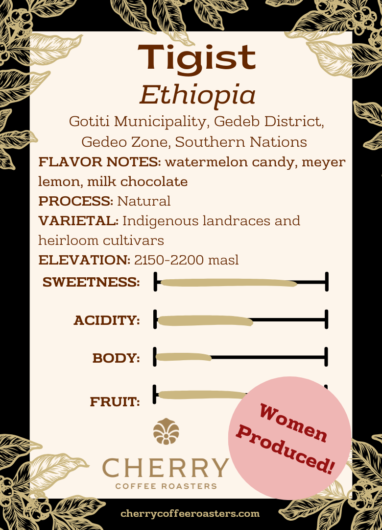 Ethiopia | Tigist | Gedeo Zone